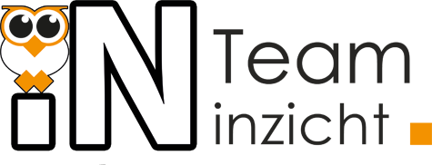 teaminzicht logo 2021